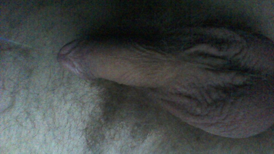 WIN_20170129_230621.JPG - janekoko4