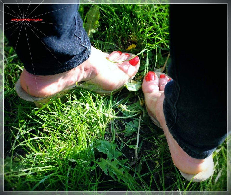 Piętki#239 - 100pa100peczka