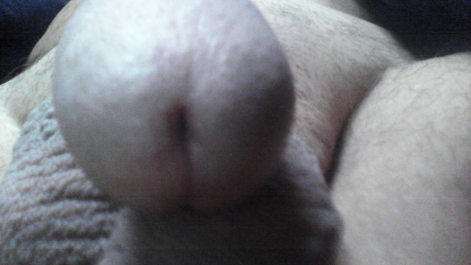 IMG_20170227_082121.jpg - szczepan1956