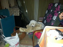 2014-09-19 20.35.18.jpg