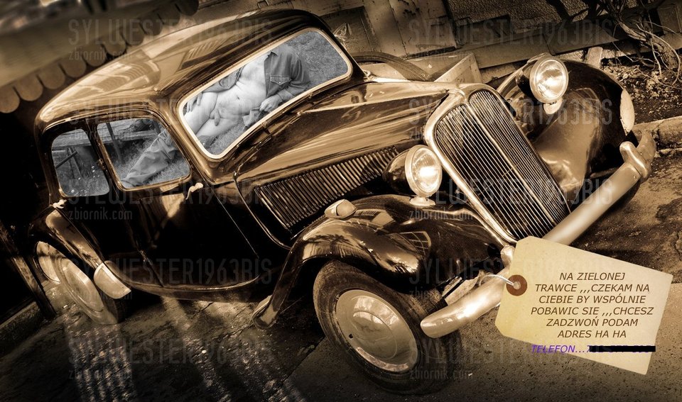 Ashampoo_Card - 2014_05_29 20_15 - 003.jpg - sylwester1963bis