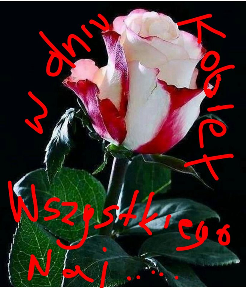 sketch-1488962795390.jpg - pinat7494