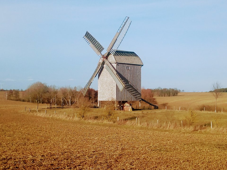 IMG_20170303_154240.jpg - kostek1234