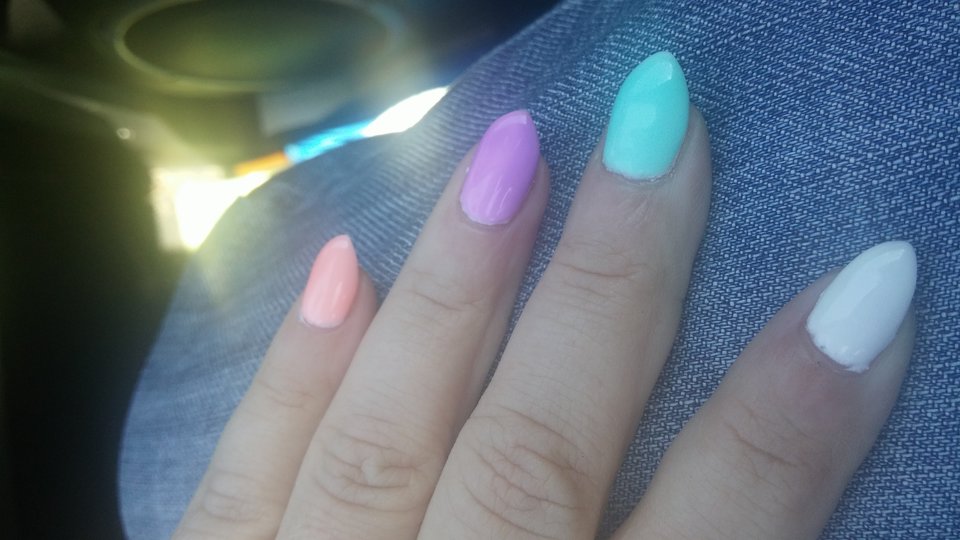 20160617_145731.jpg - SheeLove