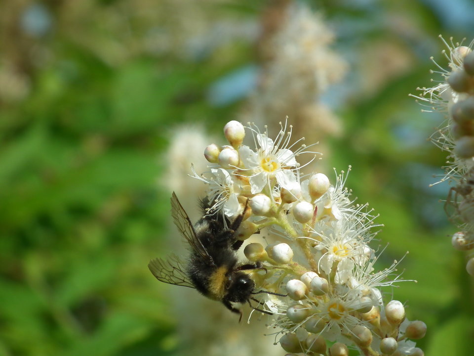 DSCF9820.JPG - NauczeCieLatac