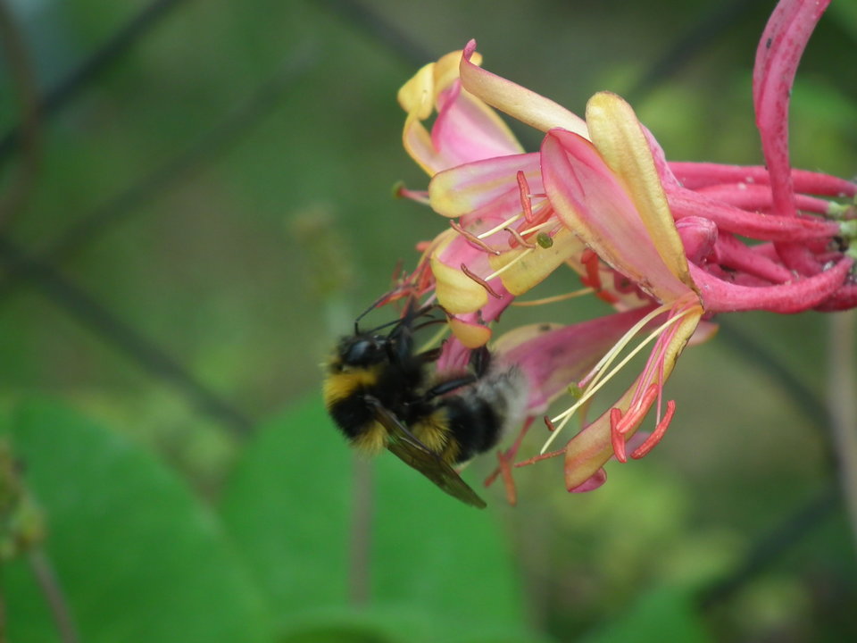 DSCF9833.JPG - NauczeCieLatac