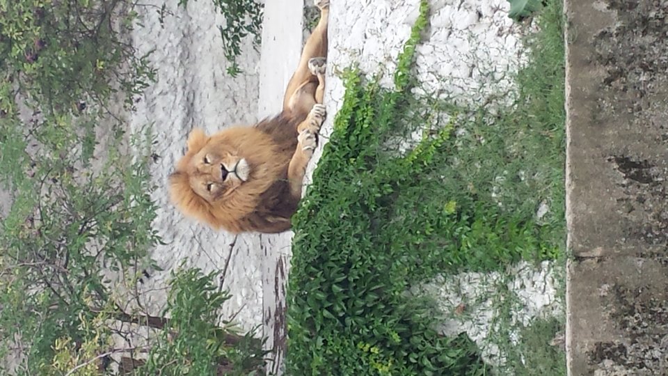 20150913_135716.jpg - Karolsun38