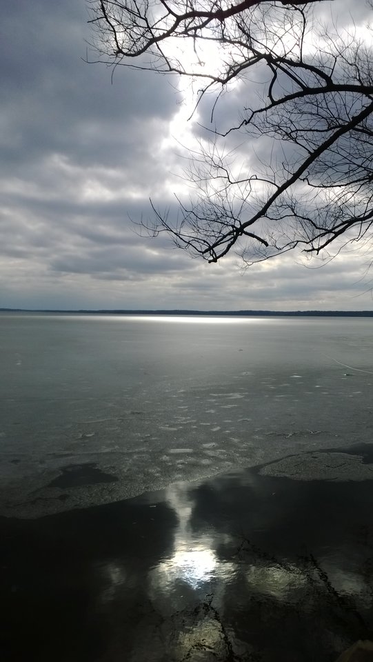 WP_20170313_002.jpg - Ratl