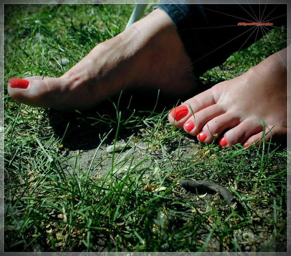 na słoneczku - 100pa100peczka