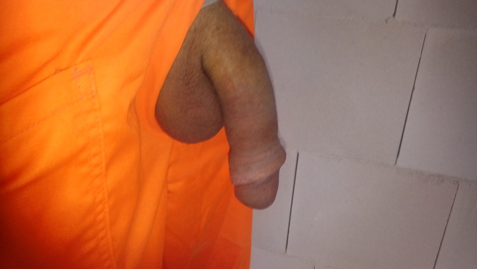 1490601365748-993347199.jpg - Gargus4819