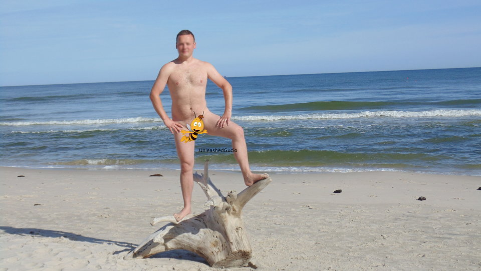 DSC00417a.JPG - UnleashedGucio