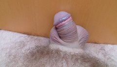 SAM_3669.JPG