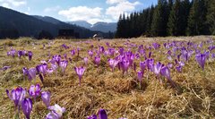 IMG_20170326_133917.jpg