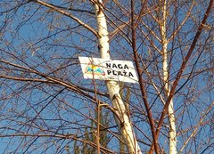 I jest... na PIV