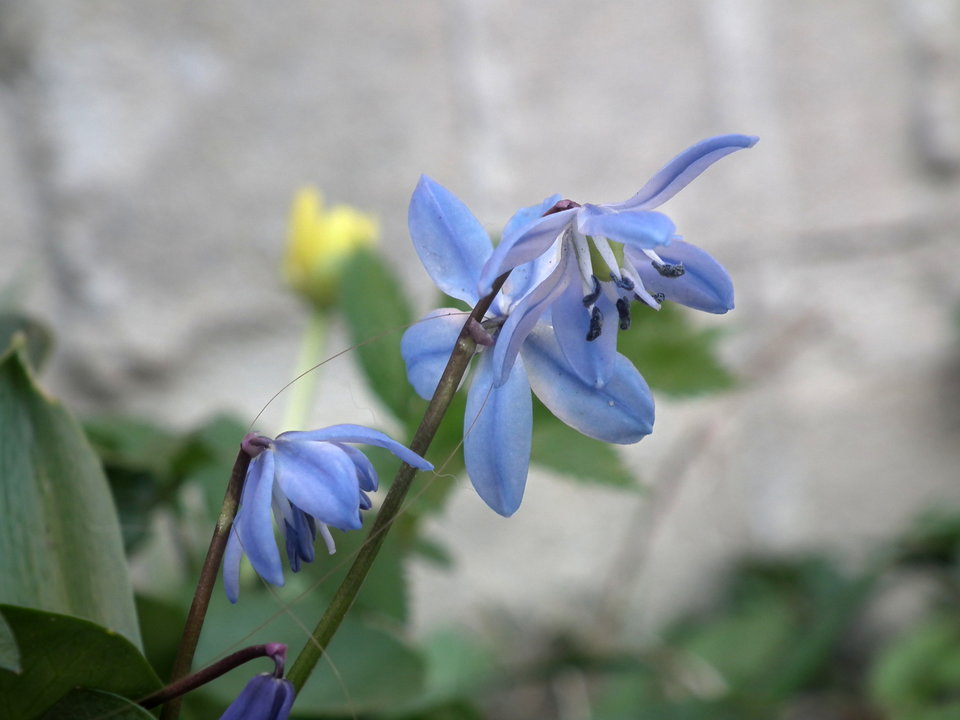 DSCF0779.JPG - NauczeCieLatac