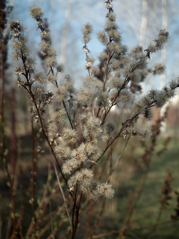 Po zimie... - NauczeCieLatac