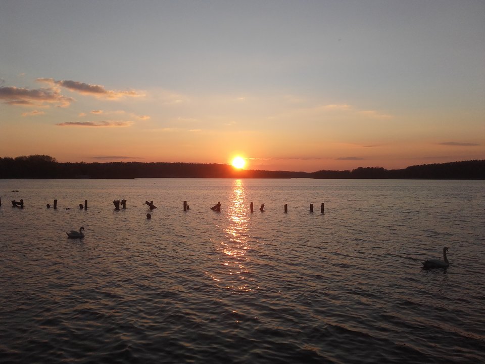 20160502_195335.jpg - piter 28