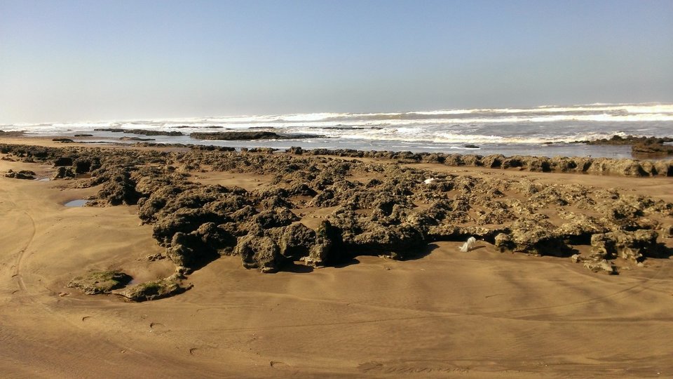 WP_20130129_003.jpg - Evaluator