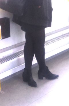 DSC_1270cz.jpg
