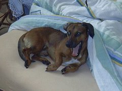 IMAG0008.JPG