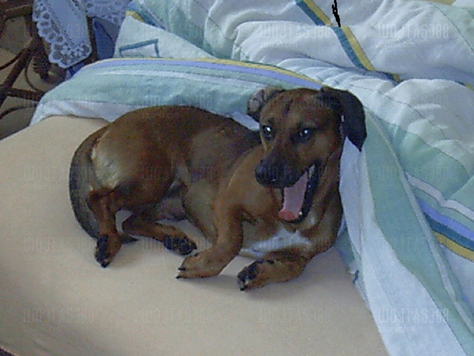 IMAG0008.JPG - wojtas388