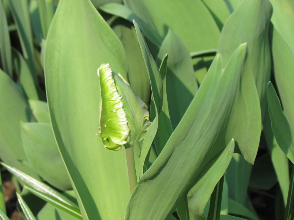 IMG_7646.JPG - wodnik50