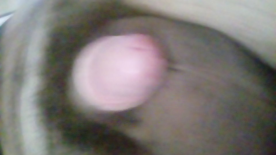 20170413_102852.jpg - Kamilia