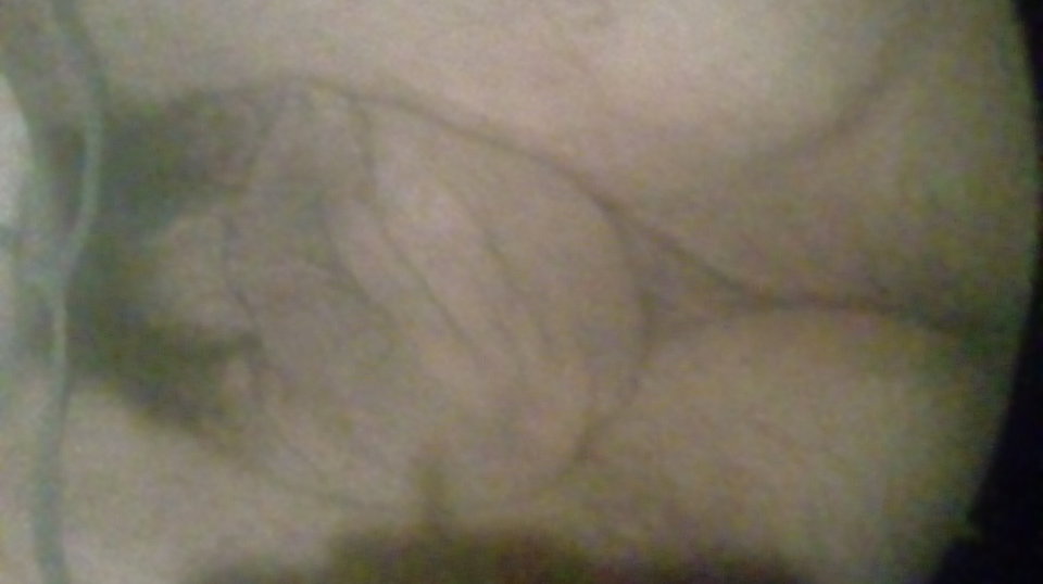 20170413_210750.jpg - Kamilia