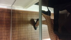 2017-04-16 22.52.07.jpg