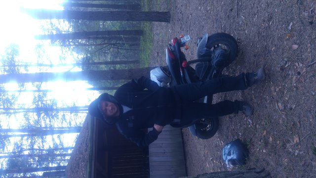 niomek