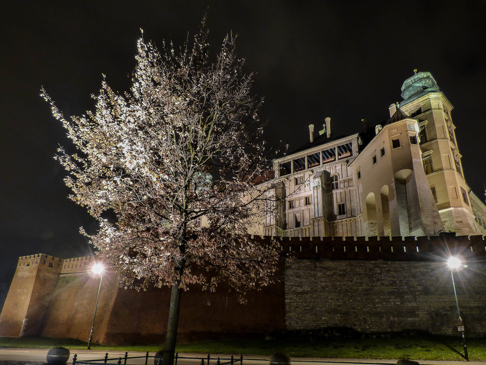 Drzewo, zamek - tylko gdzie ta wyspa?? - mystic
