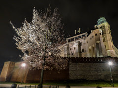 Drzewo, zamek - tylko gdzie ta wyspa??