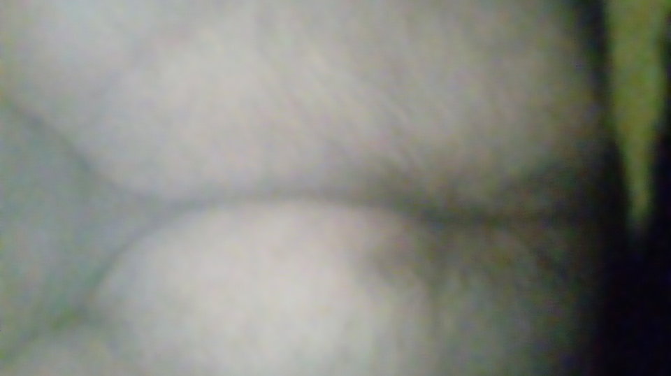 20170415_074859.jpg - Kamilia