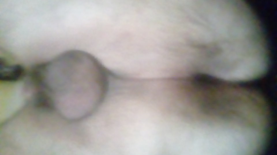 20170421_082832.jpg - Kamilia