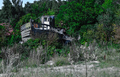 Wpłynąłem na suchego