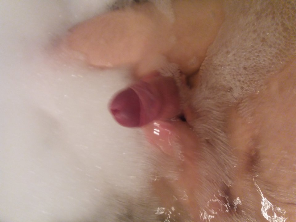 14934861261031413724737.jpg - matys587