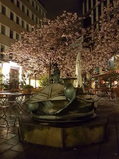 W Hamburgu też już jest wiosna