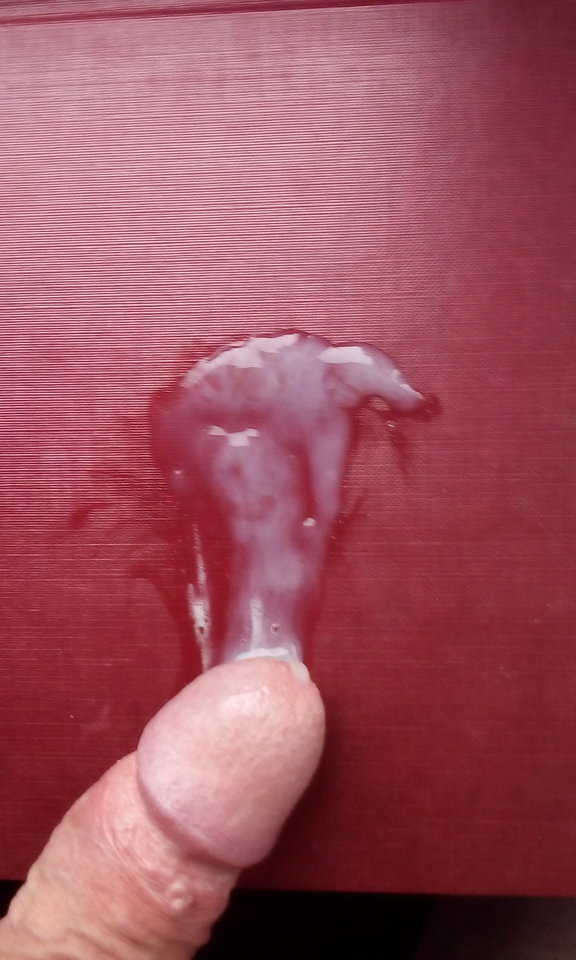 IMG_20170430_070326.jpg - fajny00004