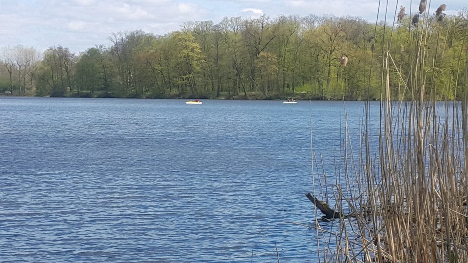 I sruuu do wody;)))) - Naom__e