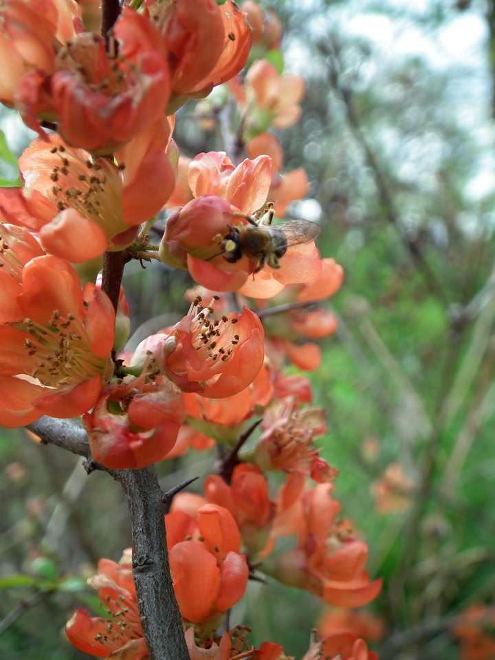 DSCF1019.JPG - NauczeCieLatac