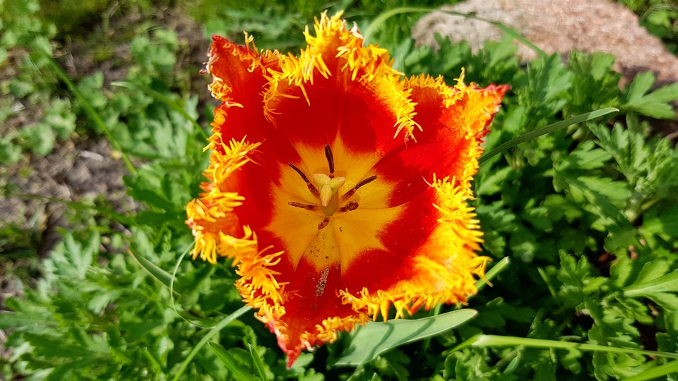 20170506_165232.jpg - destroy