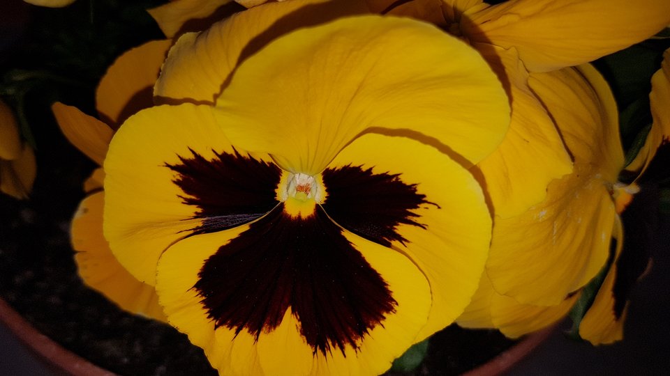 20170506_185312.jpg - destroy