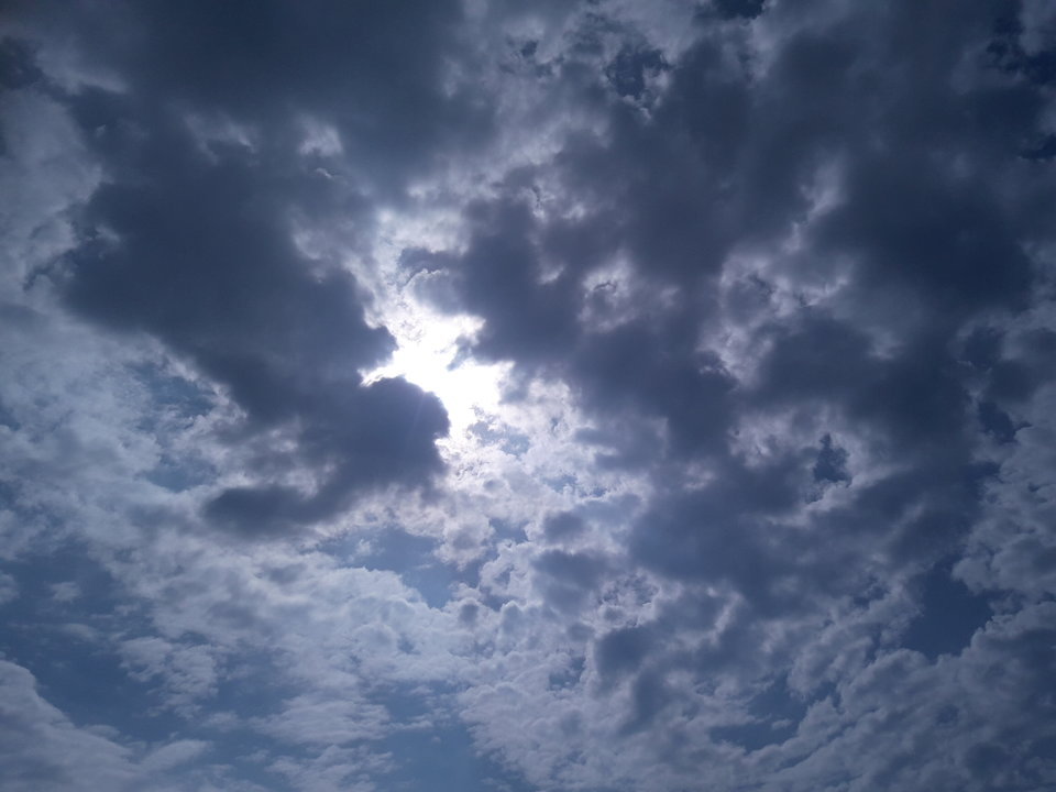 20170506_145435.jpg - dino8