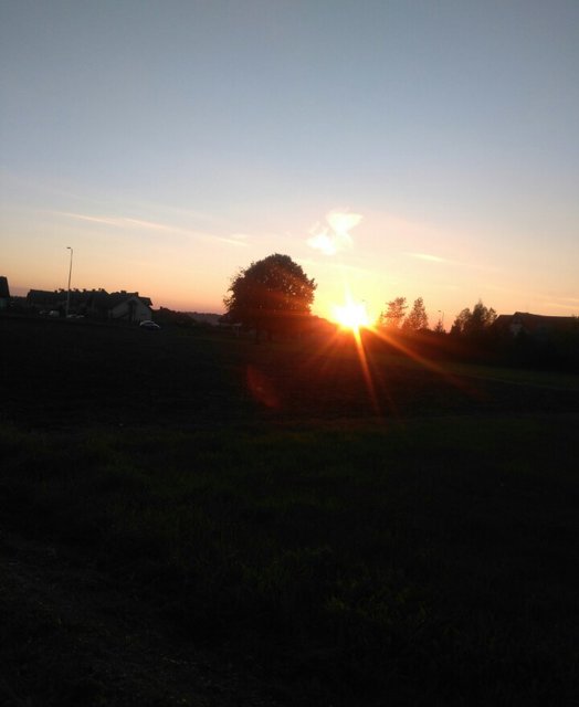 Witam milutkiego pogodnego dnia życzę 🌹🔆🔆🔆 - wojtas388