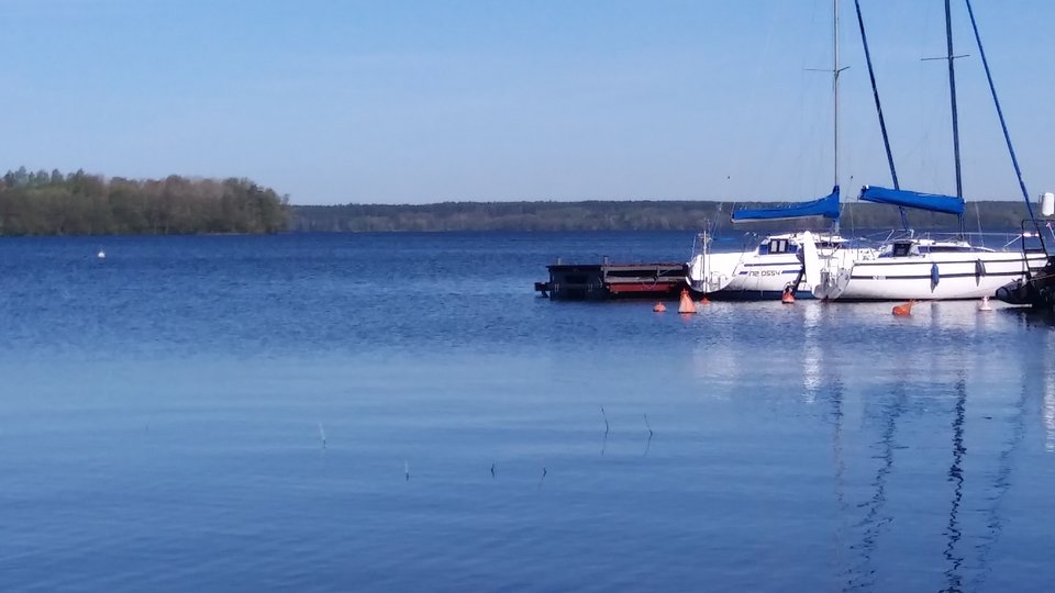 Taka praca .jpeg - sving