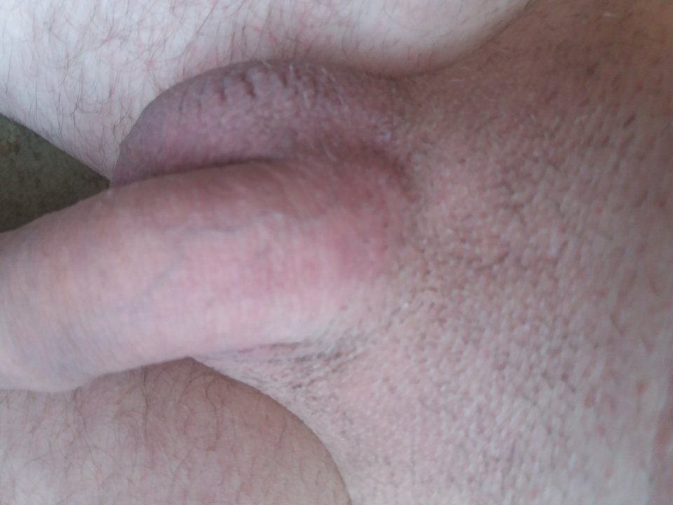 JPEG_20170513_061050_-1390745912.jpg - Kameleon1964