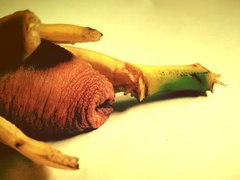 2017-05-13 09.32.47.jpg