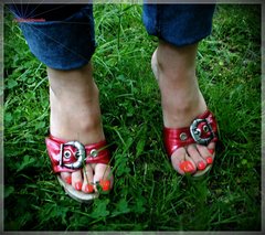 Czerwone Drewniaczki 58