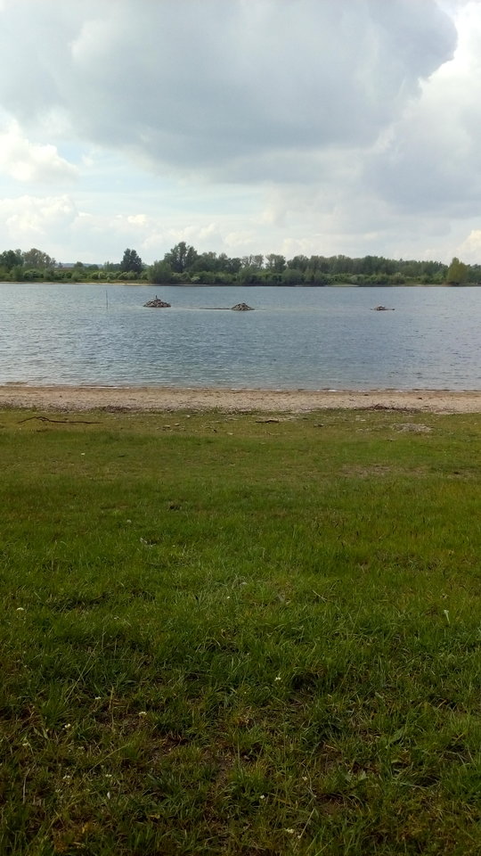 IMG_20170514_112150.jpg - dawdaw18