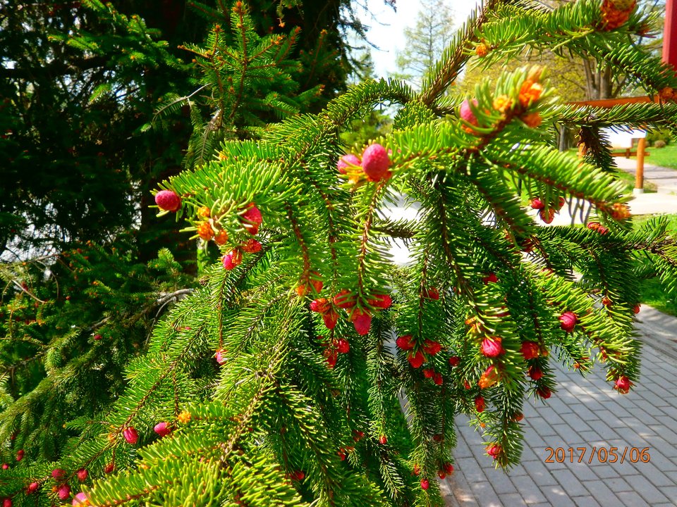 a tego nie trzeba opisywać.jpg - czlowiekmaska